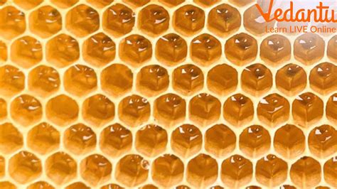 Honeycomb 